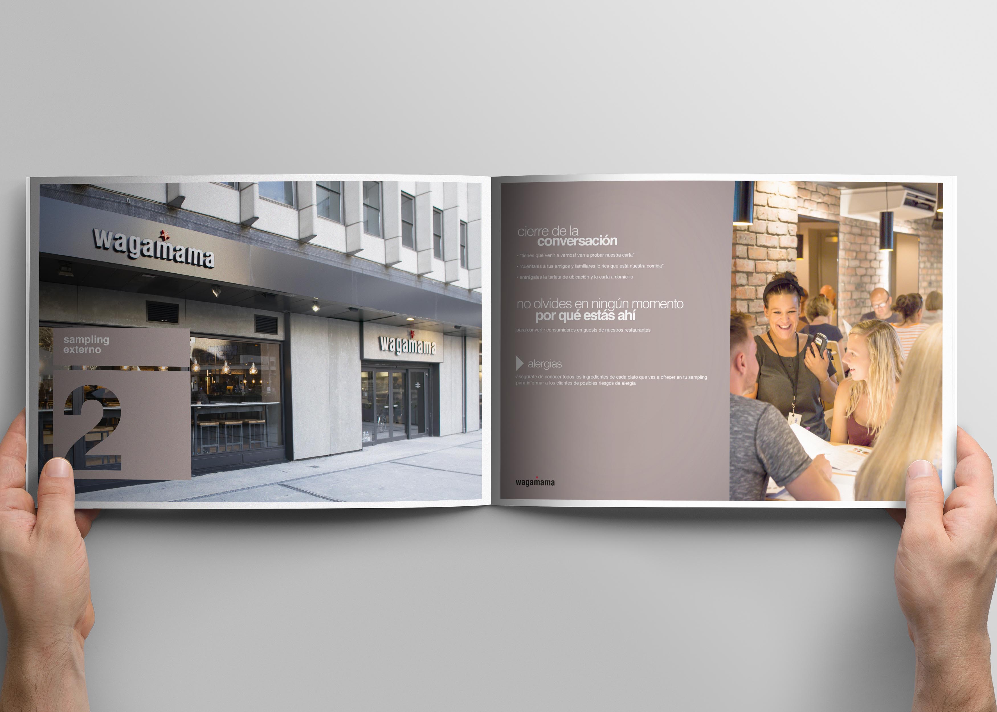 Diseñador Gráfico Director de arte